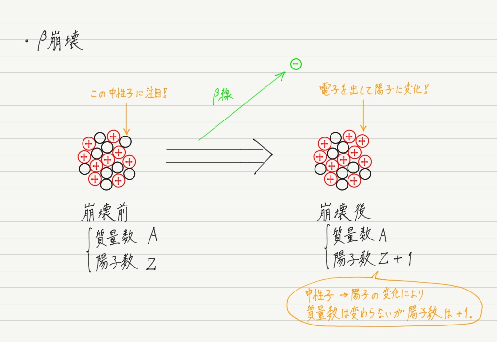 放射性崩壊と半減期 高校物理をあきらめる前に 高校物理をあきらめる前に